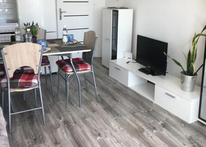 Victory Apartament *